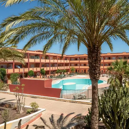 Cozy With Pool Near The Beach La Oliva